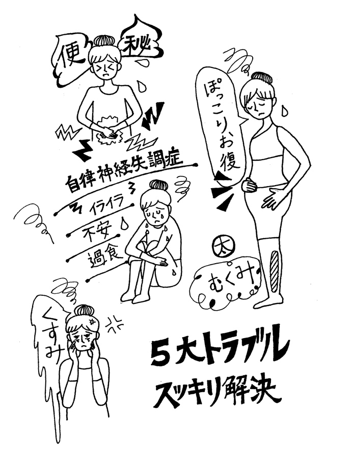 腸と自律神経の関係