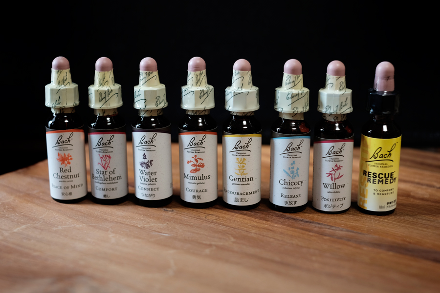 バッチフラワーレメディー Bach Flower Remedy