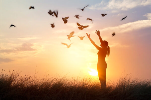 reiki3 reiki3